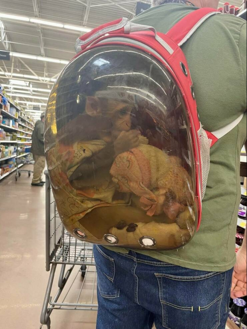 22 raros de Walmart en su Hábitat Natural