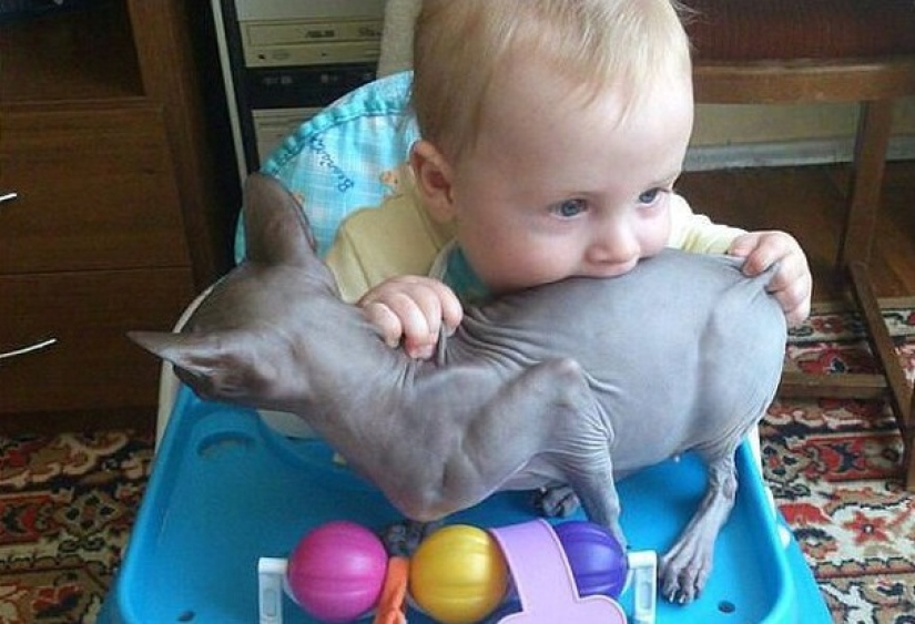 22 razones para abastecerse de sedantes si hay niños en la casa