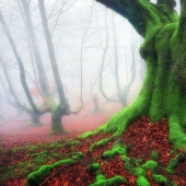 22 real photos that look like stills from movies or screenshots from video games