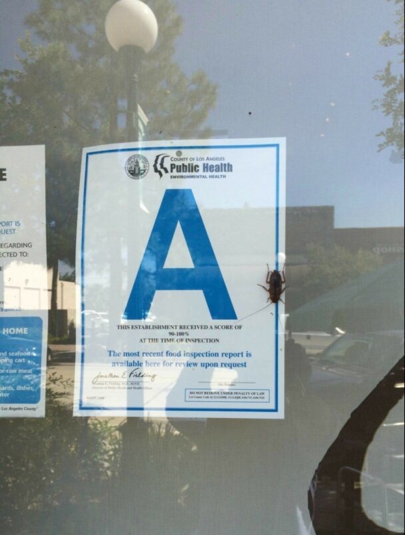 22 situaciones irónicas llenas de contradicción y absurdo