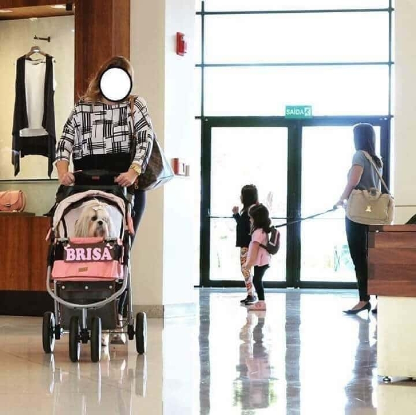 22 situaciones irónicas llenas de contradicción y absurdo