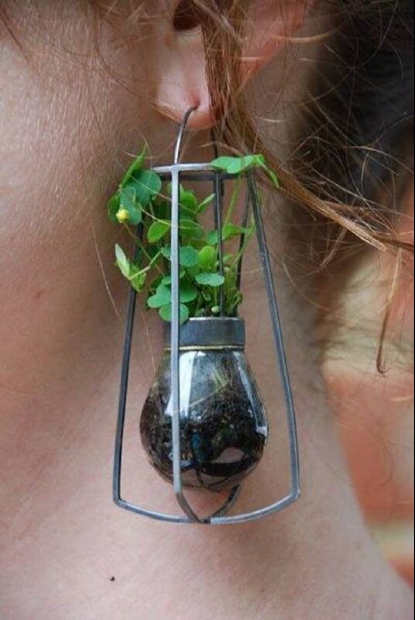 22 strange and wild ideas that received high-quality execution