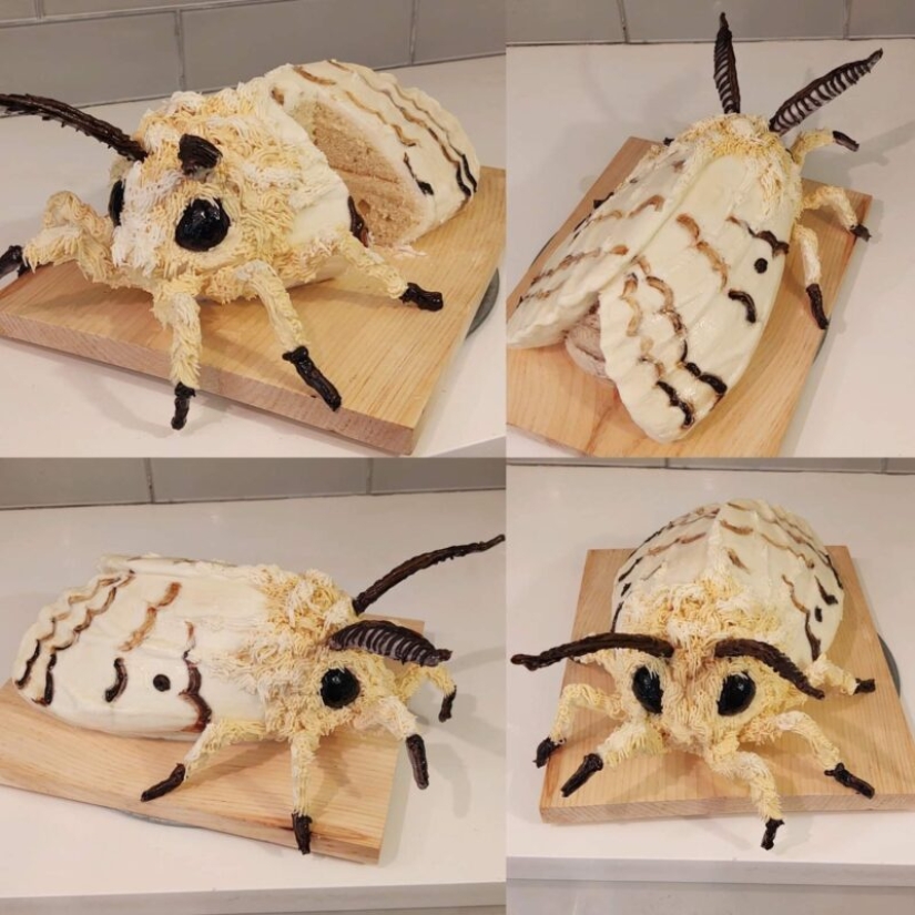 22 strange and wild ideas that received high-quality execution