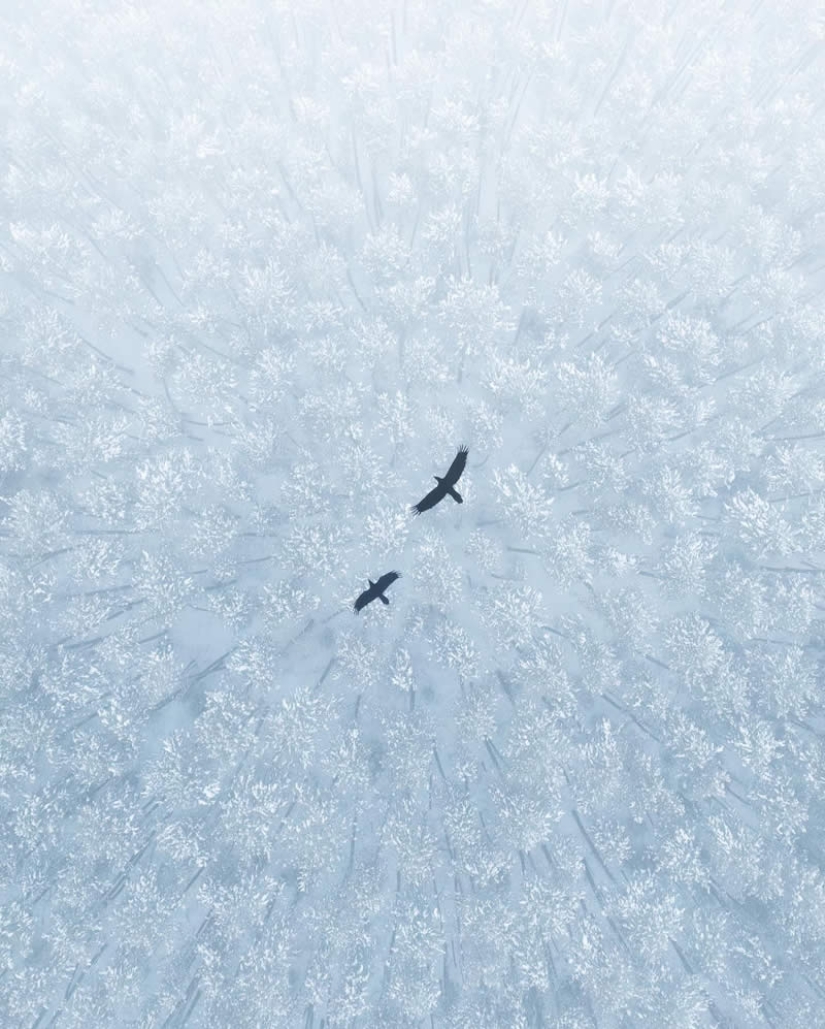 22 Striking Wildlife Photos That Will Leave You in Awe of Nature