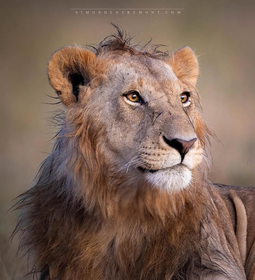 22 Striking Wildlife Photos That Will Leave You in Awe of Nature