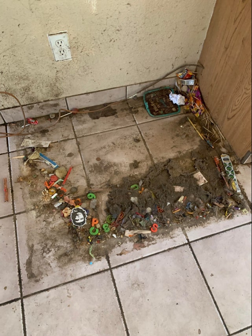 22 the craziest situations faced by apartment tenants