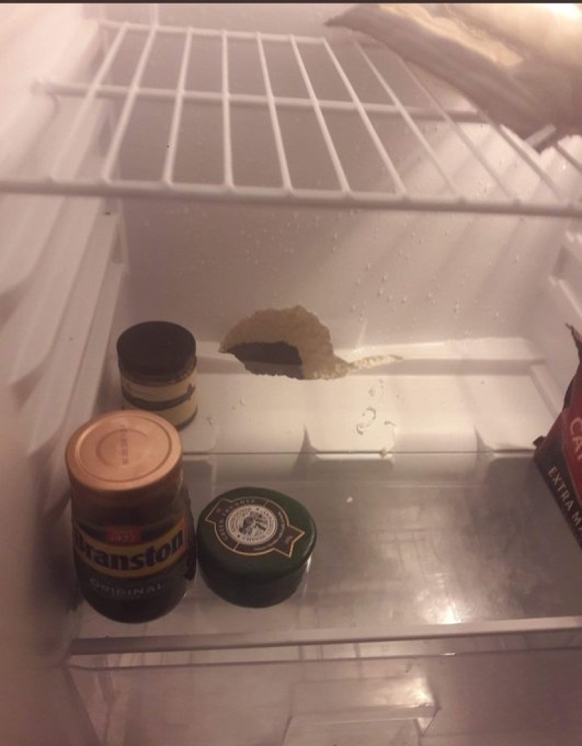 22 the craziest situations faced by apartment tenants