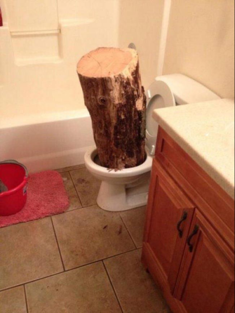 22 toilets where something strange happens 22 toilets where something strange happens