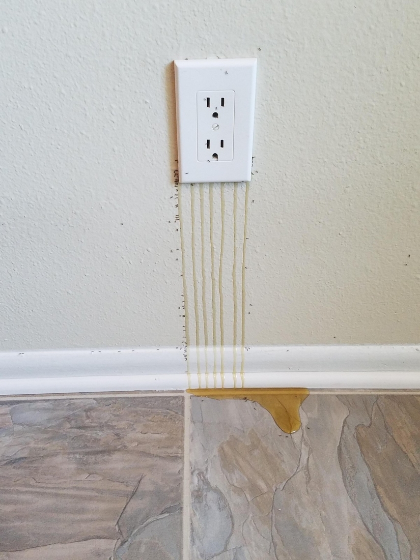 22 troubles that happened at the most unexpected moment