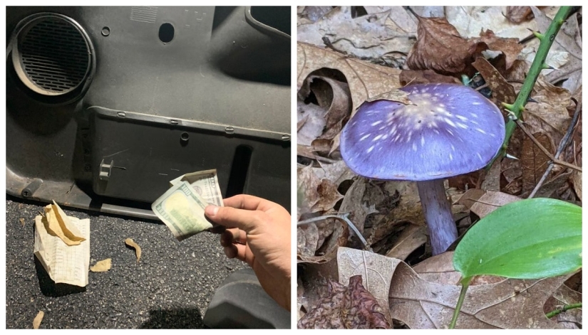 22 unexpected discoveries shared by netizens