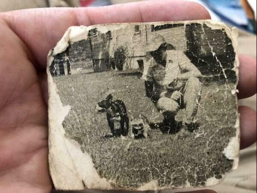 22 unexpected discoveries shared by netizens