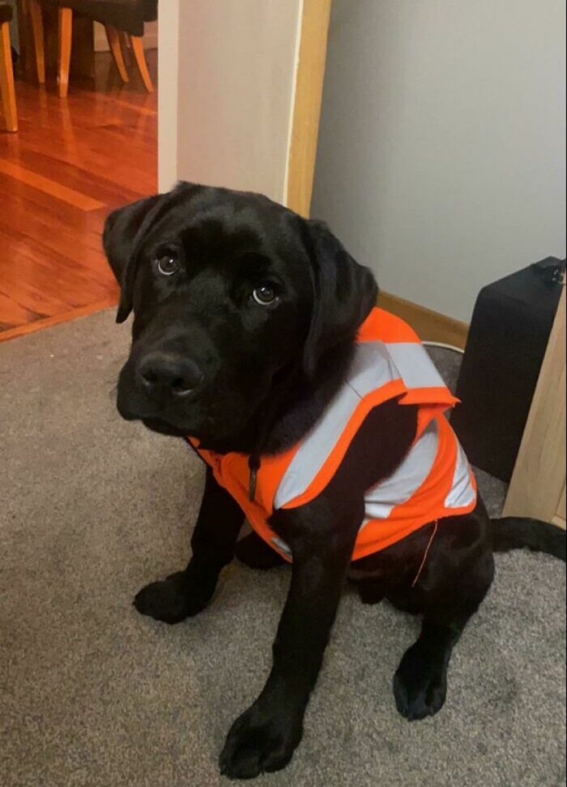 22 unusual ways to save money shared by netizens