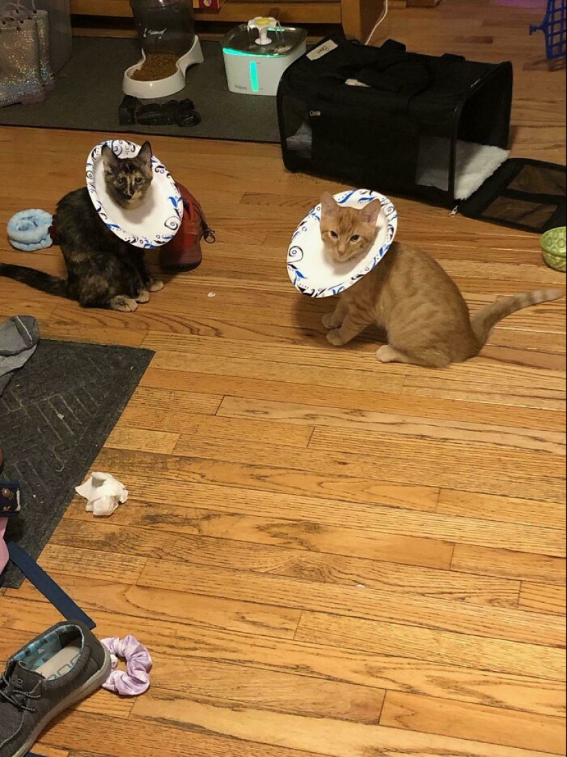 22 unusual ways to save money shared by netizens