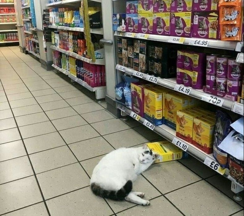 22 wonderful example of the apathy level 80 22 wonderful example of the apathy level 80