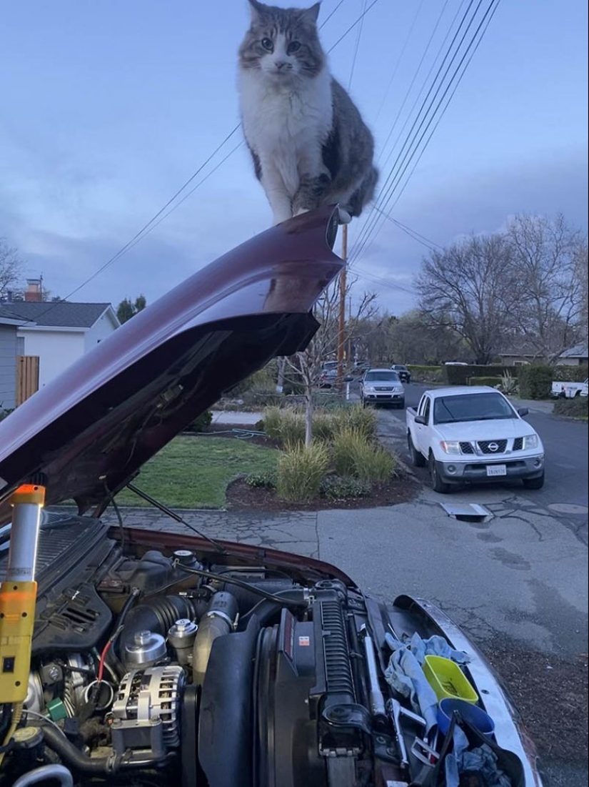 22 wonderful example of the apathy level 80 22 wonderful example of the apathy level 80