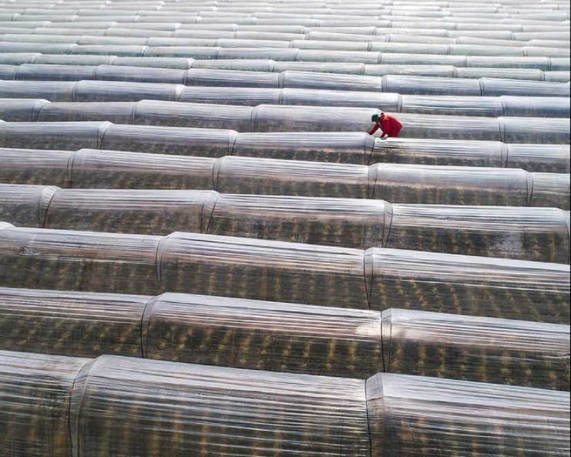 22 wonderful pictures from Vietnam from the talented Chan Tuan Viet 22 wonderful pictures from Vietnam from the talented Chan Tuan Viet