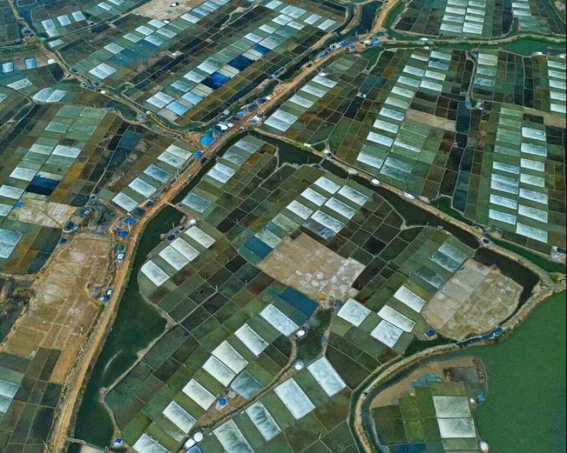 22 wonderful pictures from Vietnam from the talented Chan Tuan Viet 22 wonderful pictures from Vietnam from the talented Chan Tuan Viet