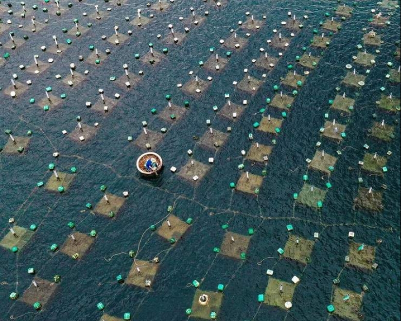 22 wonderful pictures from Vietnam from the talented Chan Tuan Viet 22 wonderful pictures from Vietnam from the talented Chan Tuan Viet