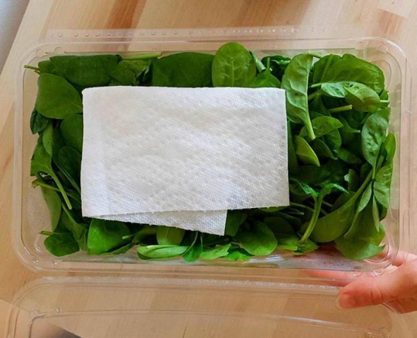 23 downright genius summer kitchen hacks 23 downright genius summer kitchen hacks