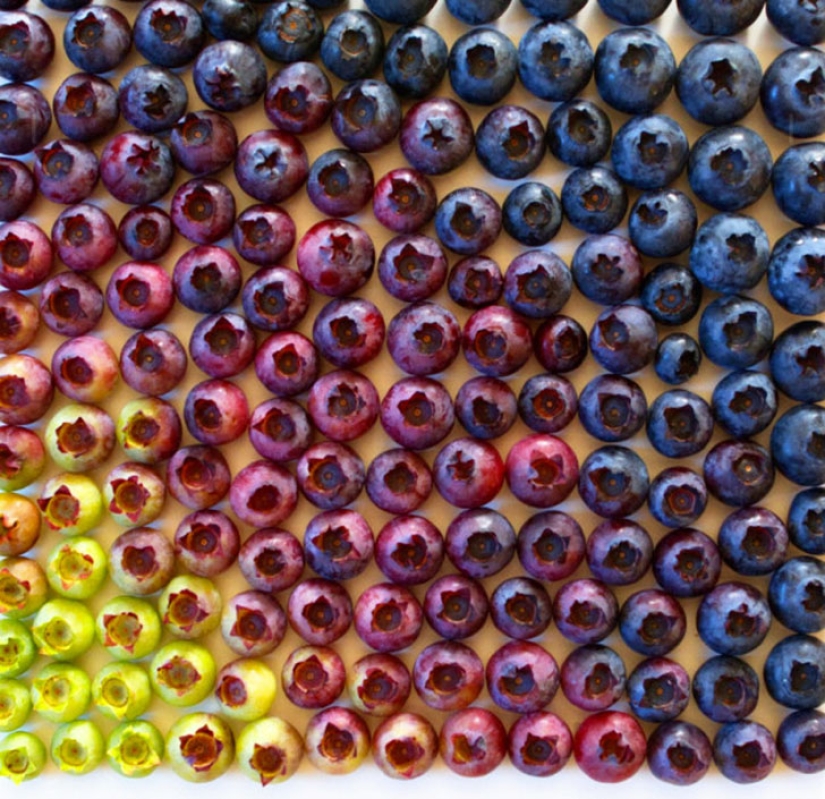 23 fotos con cosas que son dolorosamente perfectas