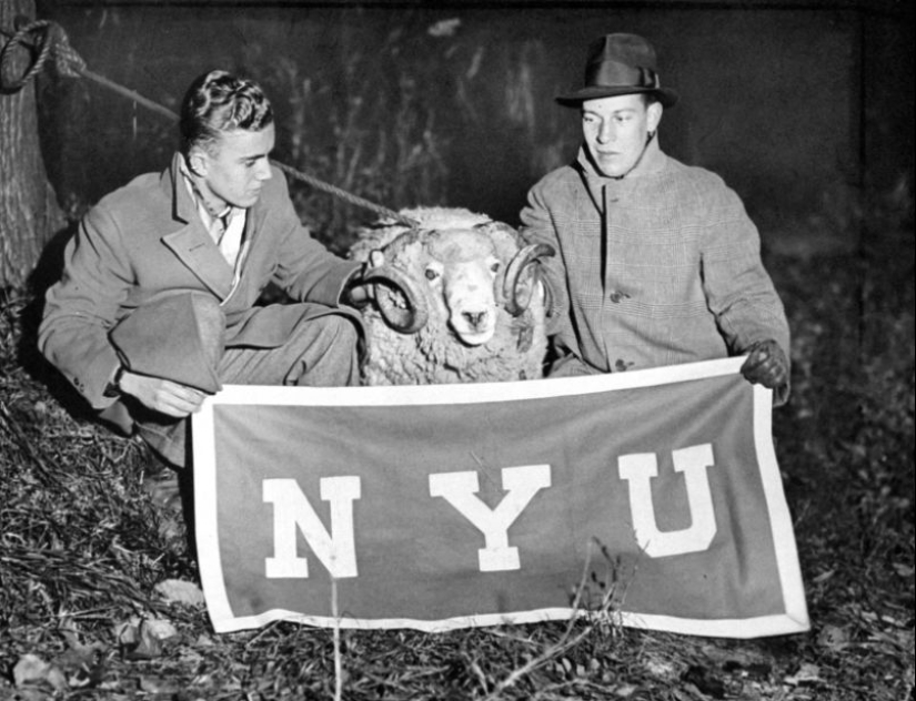 23 fotos violentas del inframundo de Nueva York del siglo pasado 23 fotos violentas del inframundo de Nueva York del siglo pasado