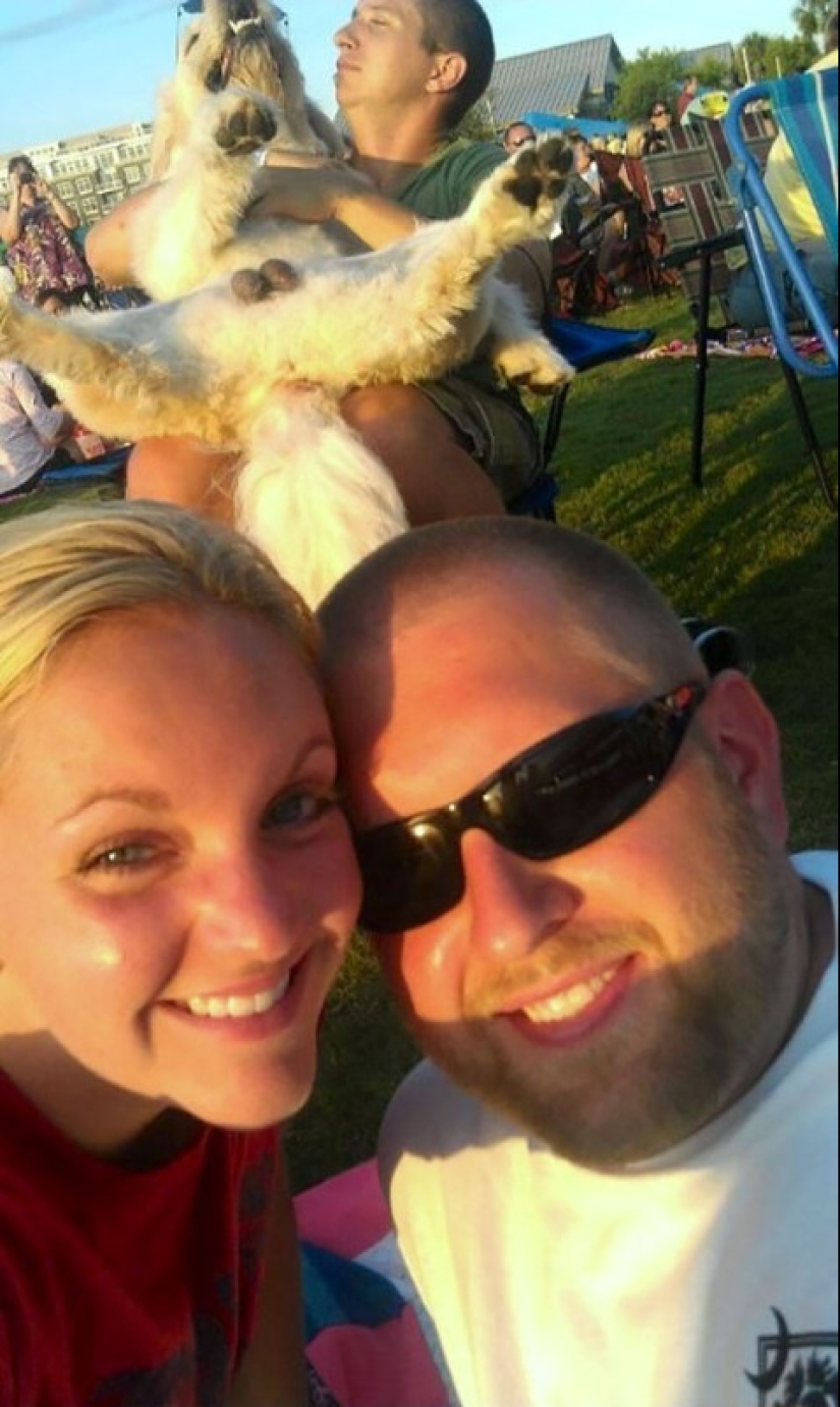 23 perros que son genios photobombing