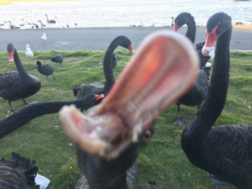 23 pictures taken a second before the inevitable 23 pictures taken a second before the inevitable