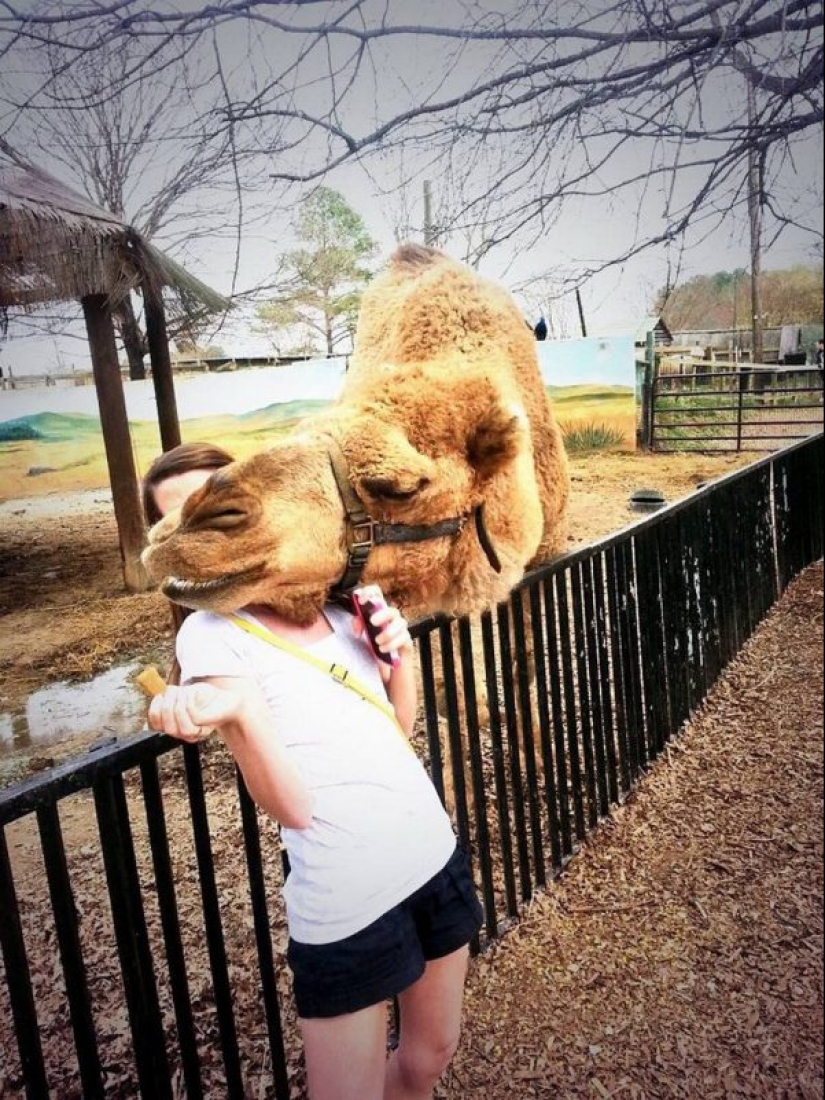 23 pictures taken a second before the inevitable 23 pictures taken a second before the inevitable