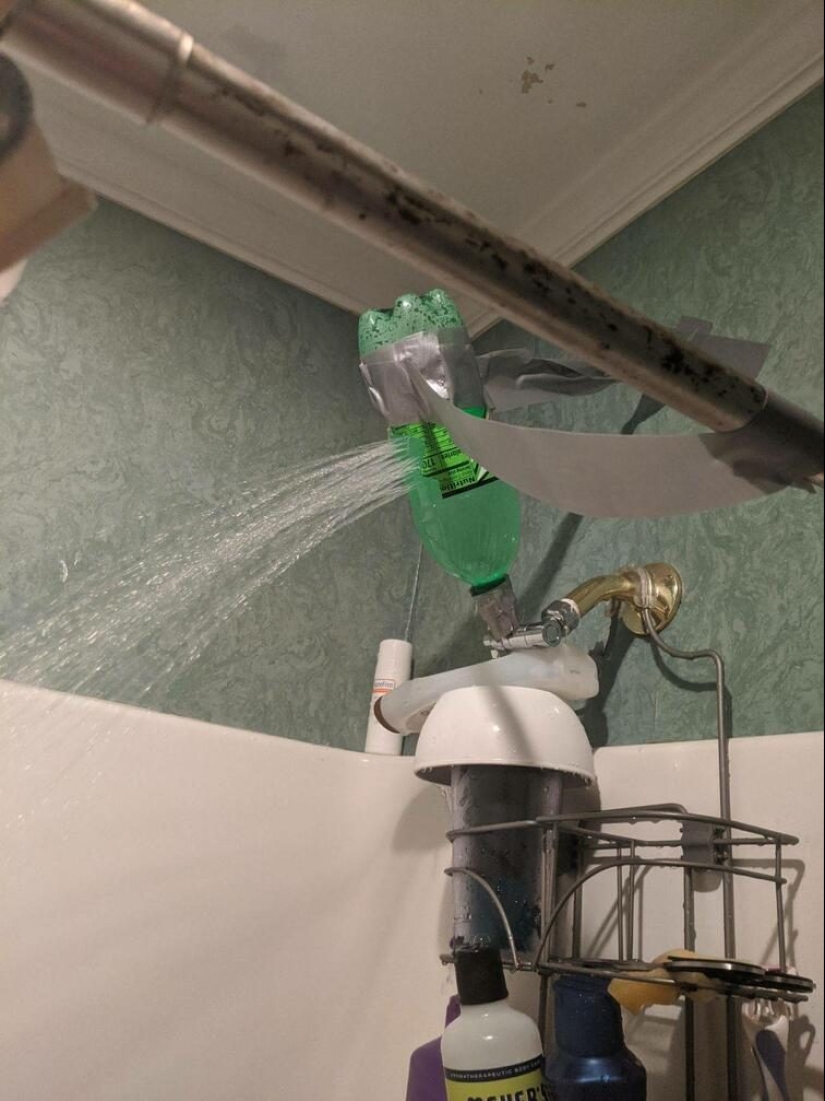 23 positive pictures that will make your day a little better