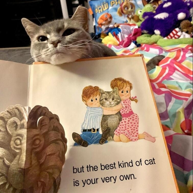 23 positive pictures that will make your day a little better