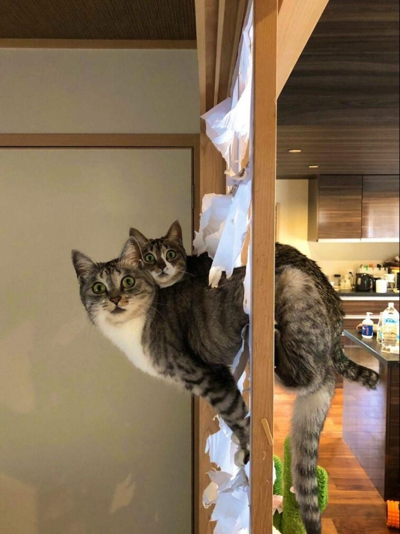 23 positive pictures that will make your day a little better