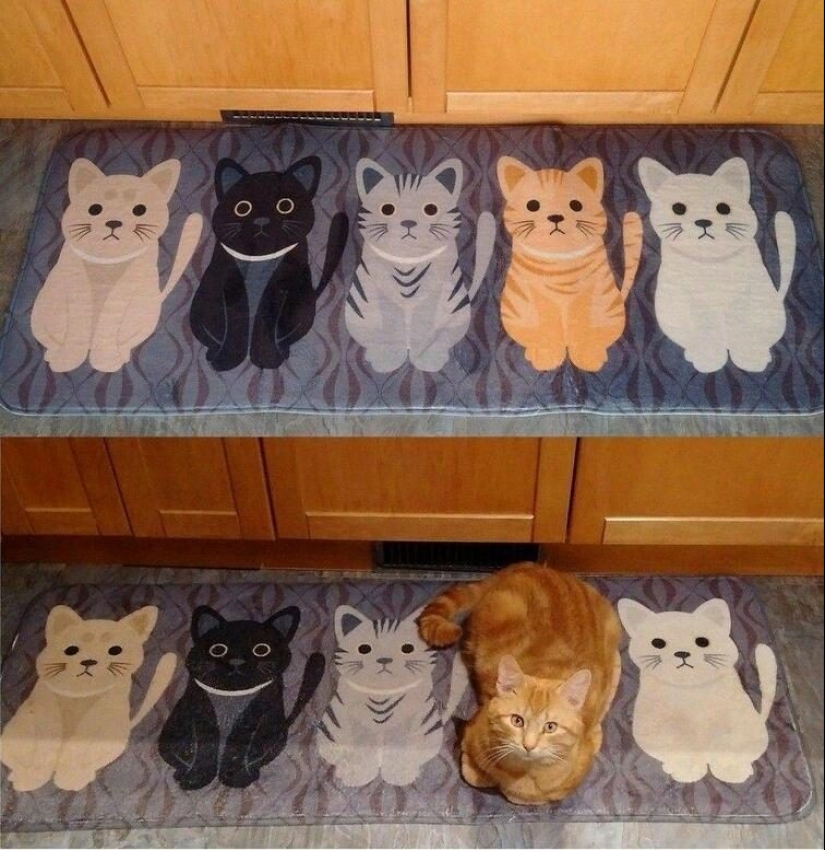 23 positive pictures that will make your day a little better