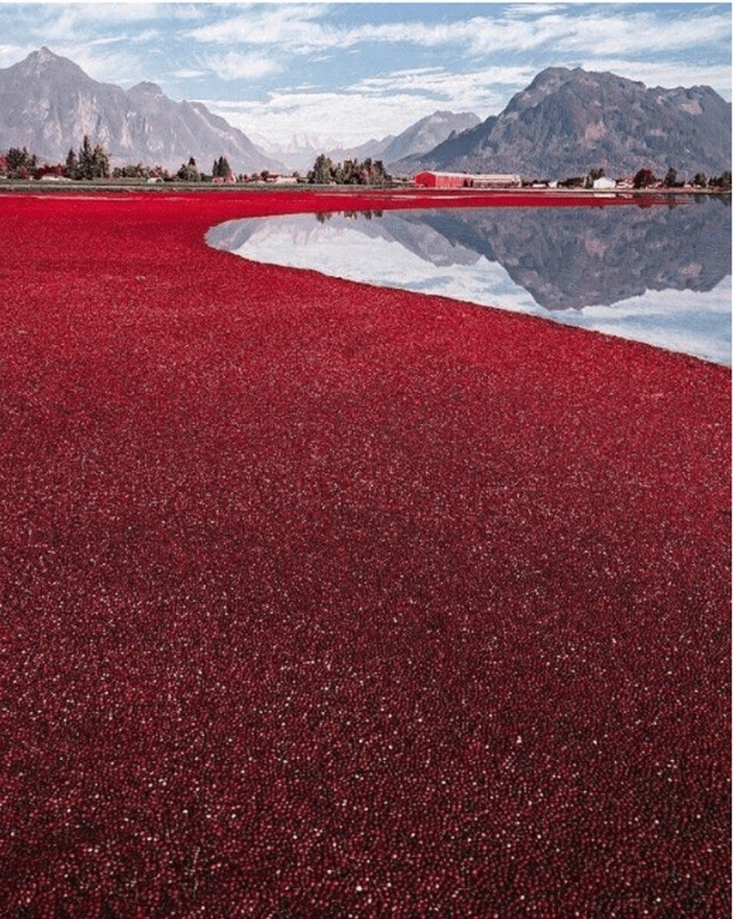 24 fotos irreales de cosas increíbles