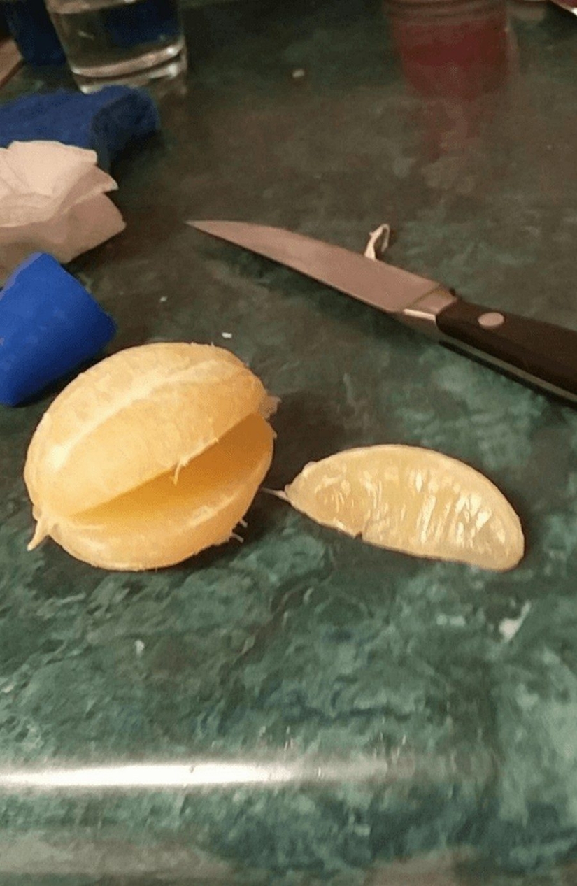 24 fotos irreales de cosas increíbles