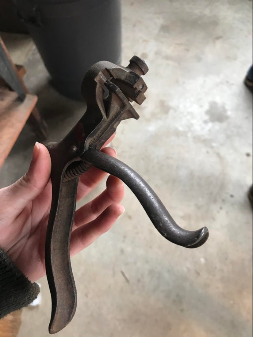 24 interesantes, pero oscuro sujeto, el cual tuve que pedir en la Red