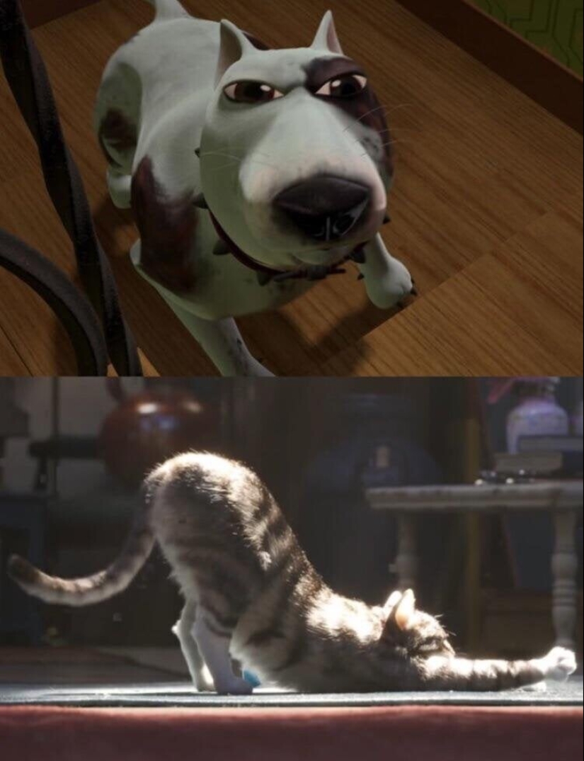 24 photo proving that our world is an amazing place