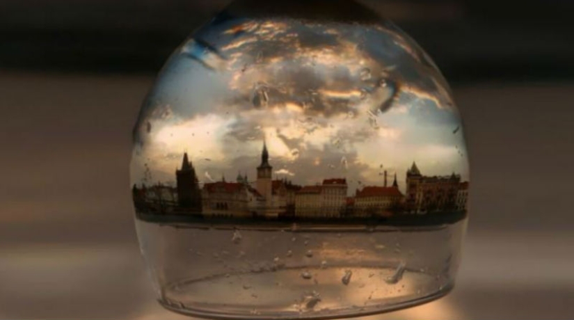 24 reflexiones sorprendentes