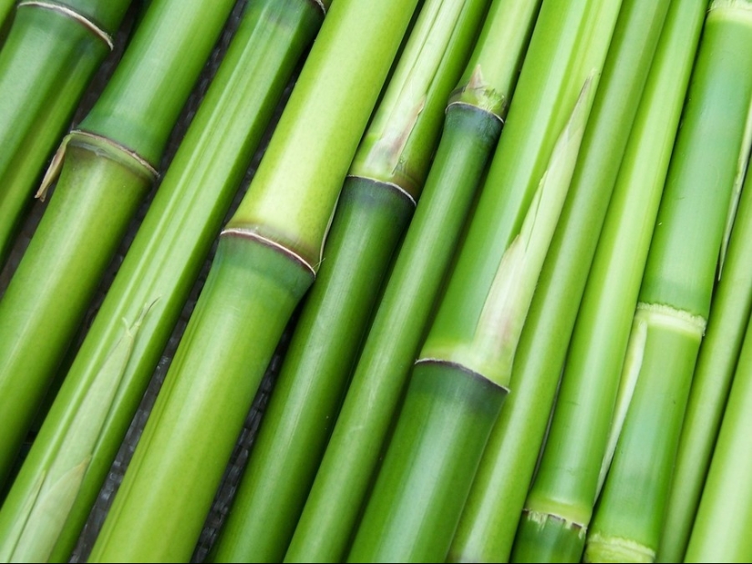 25 amuletos para la buena suerte de todo el mundo 25 amuletos para la buena suerte de todo el mundo