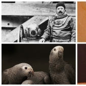 25 amusing facts from the online group Today I Learned