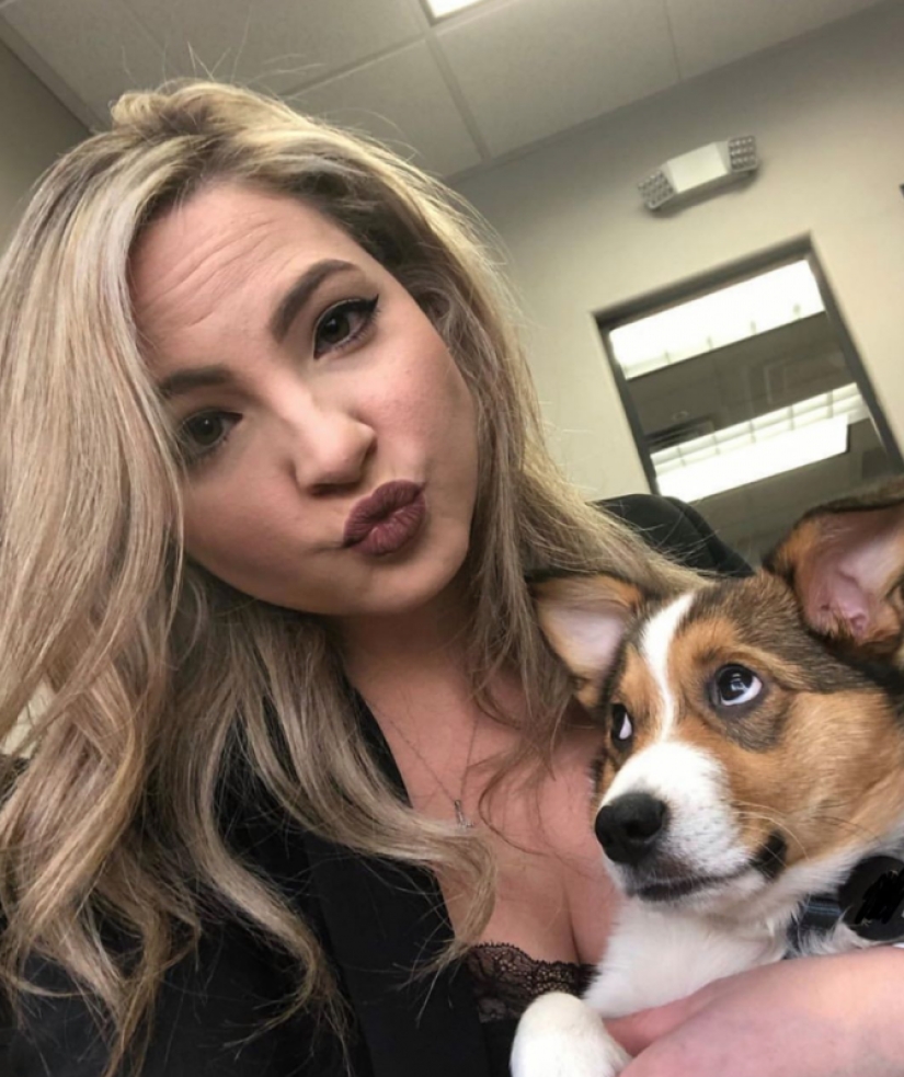 25 Corgi que está muy satisfecho con el comportamiento de sus anfitriones