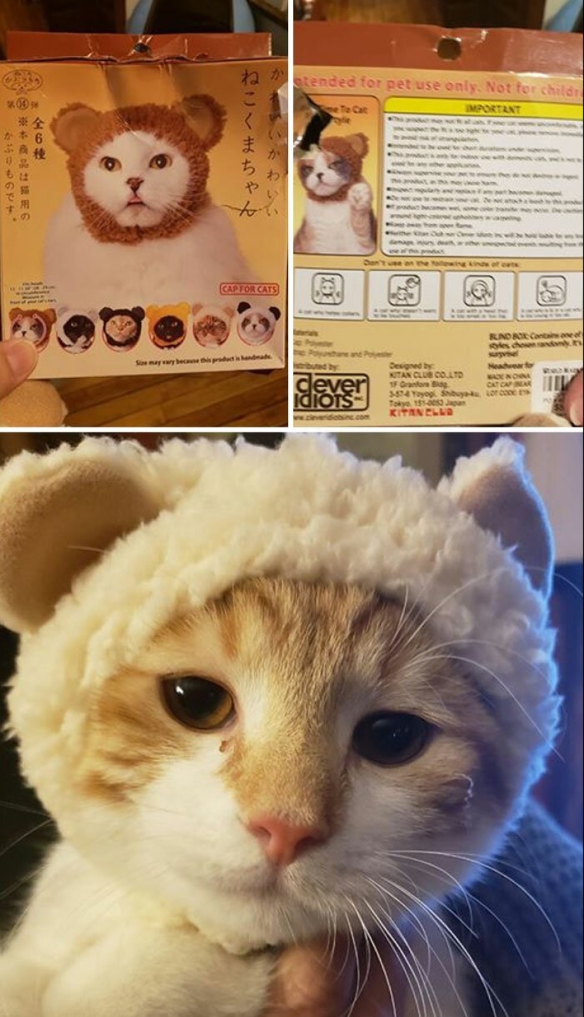 25 cosas de la diversión de los mercados de pulgas, por lo que sólo uno no podía caminar