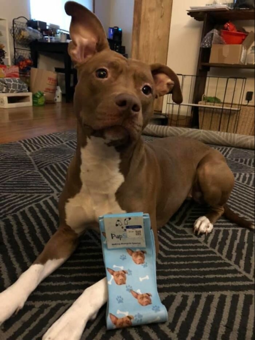 25 cosas de la diversión de los mercados de pulgas, por lo que sólo uno no podía caminar