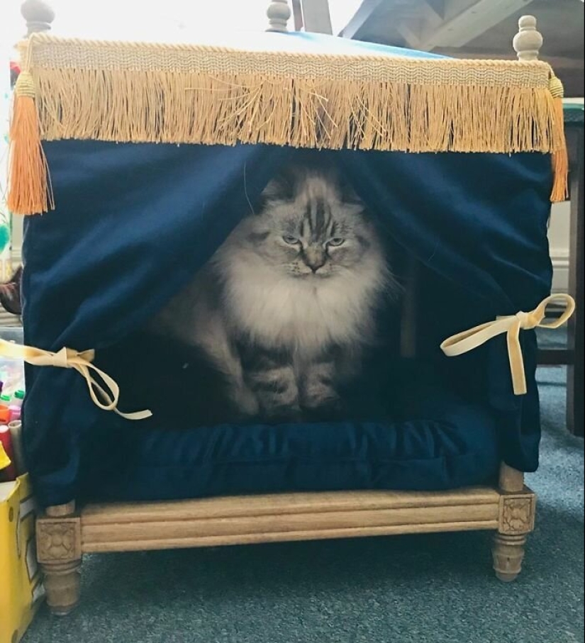 25 cosas de la diversión de los mercados de pulgas, por lo que sólo uno no podía caminar