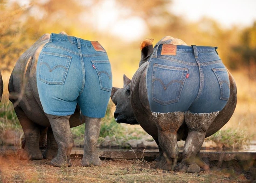 25 crazy photo collages from a Turkish artist 25 crazy photo collages from a Turkish artist