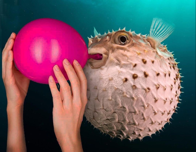 25 crazy photo collages from a Turkish artist 25 crazy photo collages from a Turkish artist