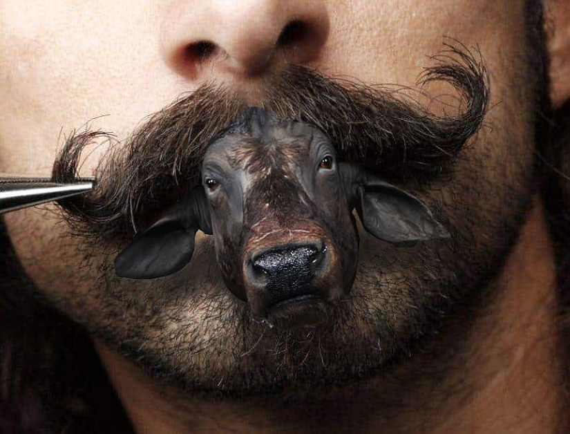 25 crazy photo collages from a Turkish artist 25 crazy photo collages from a Turkish artist