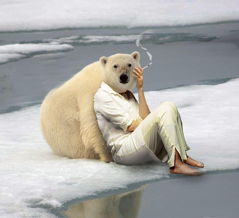 25 crazy photo collages from a Turkish artist 25 crazy photo collages from a Turkish artist