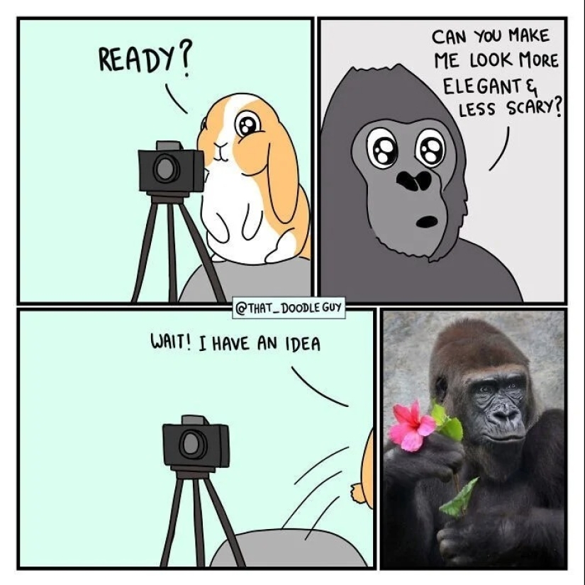 25 cute comics based on photo memes about animals
