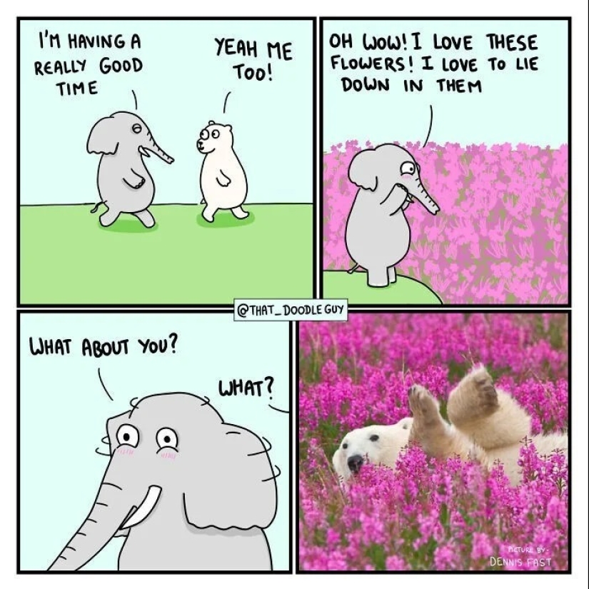 25 cute comics based on photo memes about animals