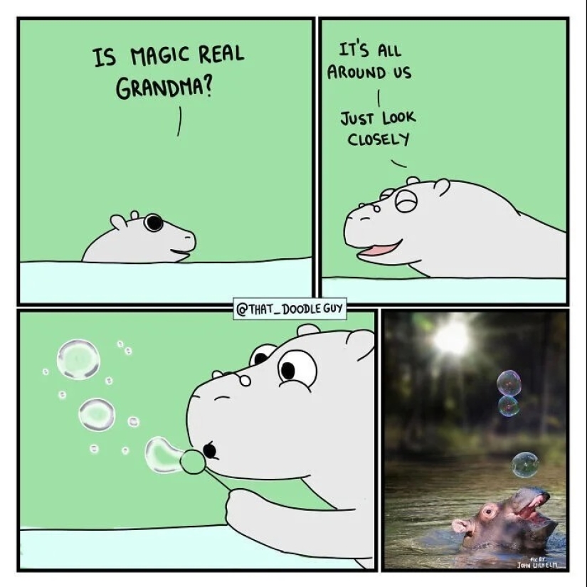 25 cute comics based on photo memes about animals